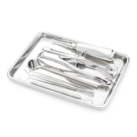 Basic Dental Kit
